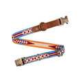 Load image into Gallery viewer, Pendleton Heritage Collar - Dog Collar - Mystic Lake - Small