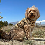 Pendleton Knit Pet Sweater