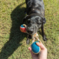 Load image into Gallery viewer, Pendleton Lasso Rope Dog Toy