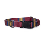 Pendleton National Park Adventure Collar