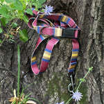 Pendleton National Park Adventure Collar