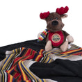 Load image into Gallery viewer, Pendleton National Park Crate Blanket + Pal Combo - Dog Crate Blanket
