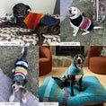 Load image into Gallery viewer, Pendleton National Park Dog Vest