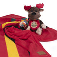Load image into Gallery viewer, Pendleton National Park Pa - Dog Squeak Toy