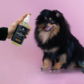 Load image into Gallery viewer, Pendleton Pet 3 in 1 Deodorizer