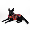 Load image into Gallery viewer, Pendleton Pet Puffer Coat