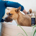 Load image into Gallery viewer, Pendleton Pet Shampoo