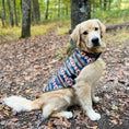 Load image into Gallery viewer, Pendleton Puffer Dog Coat