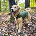 Load image into Gallery viewer, Pendleton Puffer Dog Coat