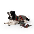 Load image into Gallery viewer, Pendleton Vintage Camp Dog Coat