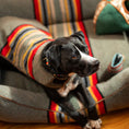 Load image into Gallery viewer, Pendleton Vintage Camp Dog Coat