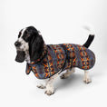Load image into Gallery viewer, Pendleton Waterproof Adventure Pet Coat - Waterproof Dog Raincoat - X-Small - Mystic Lake