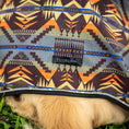 Load image into Gallery viewer, Pendleton Waterproof Adventure Pet Coat - Waterproof Dog Raincoat