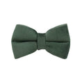 Load image into Gallery viewer, Velvet Forest Teal Set