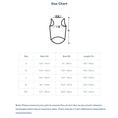 Load image into Gallery viewer, Mondrian Broadway Boogie Woogie Pet Vest