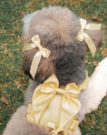 Load image into Gallery viewer, Wander! Bow Harness 2.0 - Buttercream