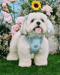 Load image into Gallery viewer, Petite Bow Clips - Sky