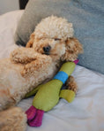 Load image into Gallery viewer, Pet Toy - Duck Jose - Southlake Paws