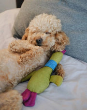 Pet Toy - Duck Jose