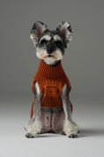 Load image into Gallery viewer, Pretzel Pet Sweater - Tofee Orange