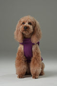 Load image into Gallery viewer, Reversible Dog Vest Jacket - Purple Caramel
