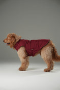 Load image into Gallery viewer, Reversible Dog Vest Jacket - Red Brown