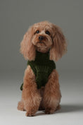 Load image into Gallery viewer, Pretzel Pet Sweater - Olive Green