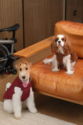 Load image into Gallery viewer, Reversible Dog Vest Jacket - Red Brown