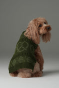 Load image into Gallery viewer, Pretzel Pet Sweater - Olive Green