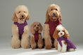 Load image into Gallery viewer, Reversible Dog Vest Jacket - Purple Caramel