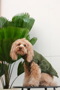 Load image into Gallery viewer, Pretzel Pet Sweater - Olive Green