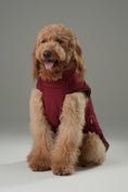 Load image into Gallery viewer, Reversible Dog Vest Jacket - Red Brown