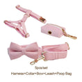 Load image into Gallery viewer, Pink Corduroy Set