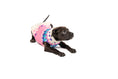 Load image into Gallery viewer, Pink Ski Bum Dog Sweater