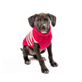 Load image into Gallery viewer, Katie Alpaca Stripe Dog Sweater