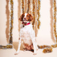 Load image into Gallery viewer, Pink Washable Velvet Cat & Dog Collar