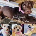Load image into Gallery viewer, Pink Velvet Set