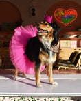 Load image into Gallery viewer, BRIGHT PARTY CROWNS