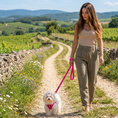 Load image into Gallery viewer, Pink Dog Leash by EcoBark - Padded Comfort Grip Leash - 4ft, 5ft, and 6ft Leash for Teacup, Small, and Medium Dogs