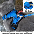 Load image into Gallery viewer, Mr. Peanut's PurrTrek Reflective Cat Harness with Matching Leash