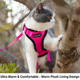 Load image into Gallery viewer, Mr. Peanut's PurrTrek Reflective Cat Harness with Matching Leash