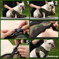 Load image into Gallery viewer, Mr. Peanut's PupTrek Harness and Leash Set, Small Dog/Cat Soft Mesh Step In Harness Vest
