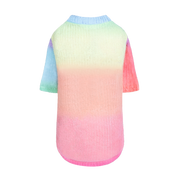 Rainbow Dog Sweater