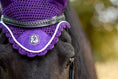 Load image into Gallery viewer, Purple Amethyst Fly Hat