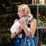 Breeze Bi-Color Dog Collar