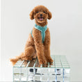 Load image into Gallery viewer, Magenta - Velvet Dog Harness - Southlake Paws