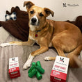 Load image into Gallery viewer, Poop Bags For Dogs