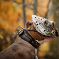 Load image into Gallery viewer, The "Haunted'' collar LIMITED
