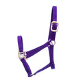 Load image into Gallery viewer, Jeffers Premium Nylon Weanling & Yearling Horse Halters, 3-Ply, 1"