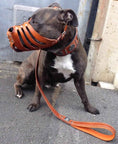 Load image into Gallery viewer, 'Maximus'' Silver Basket Muzzle